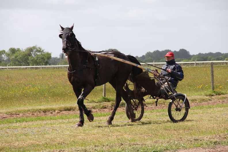 Normandie Mai 2017  (2822).JPG