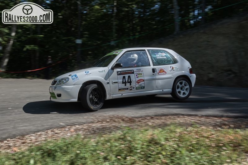 Ecureuil  2019  (0124)