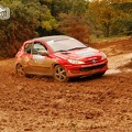Rallye Terre de Vaucluse 2012 (73)