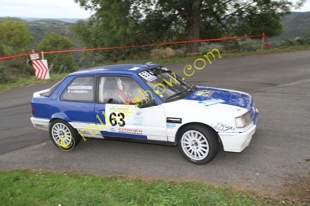 Rallyes du Montbrisonnais 2012  (84)