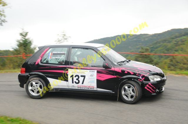 Rallye du Montbrisonnais 2012 (187)