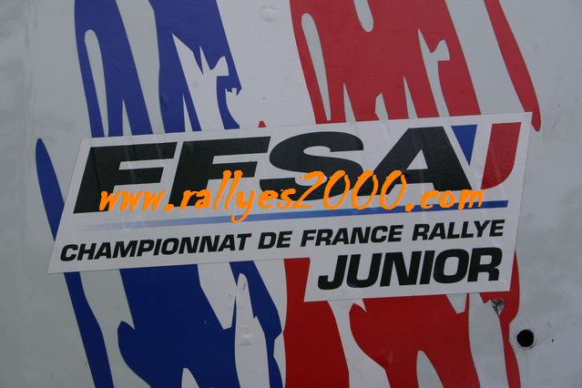 Rallye Lyon Charbonnières 2011 (460)