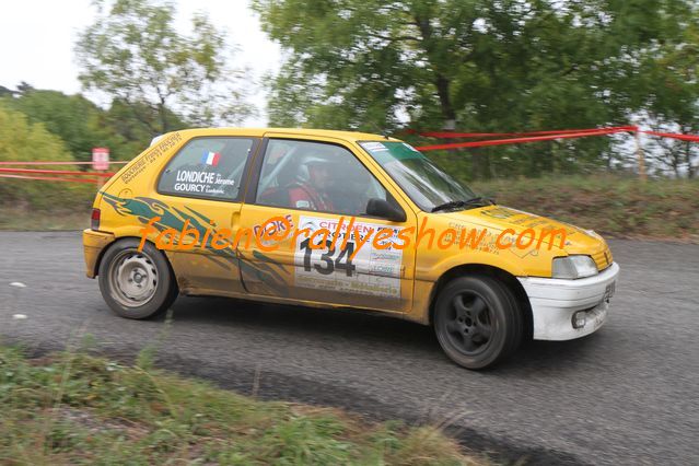 Rallye du Montbrisonnais 2011 (101)