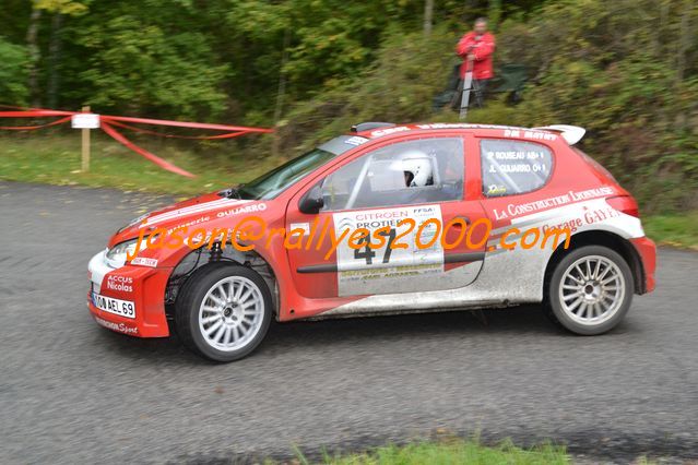 Rallye du Montbrisonnais 2011 (216)
