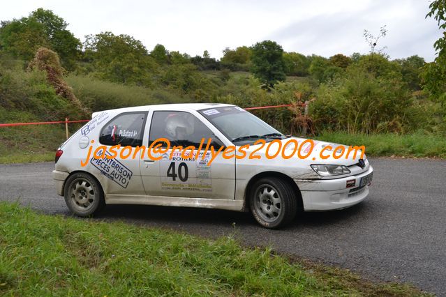 Rallye du Montbrisonnais 2011 (423)