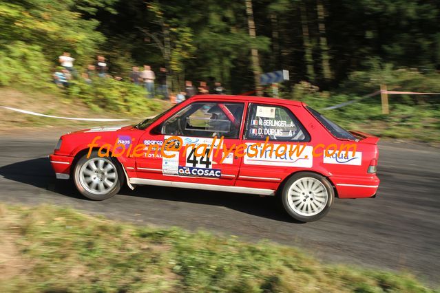Rallye des Monts Dome 2011 (141)