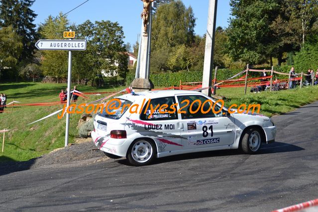 Rallye des Monts Dome 2011 (132)