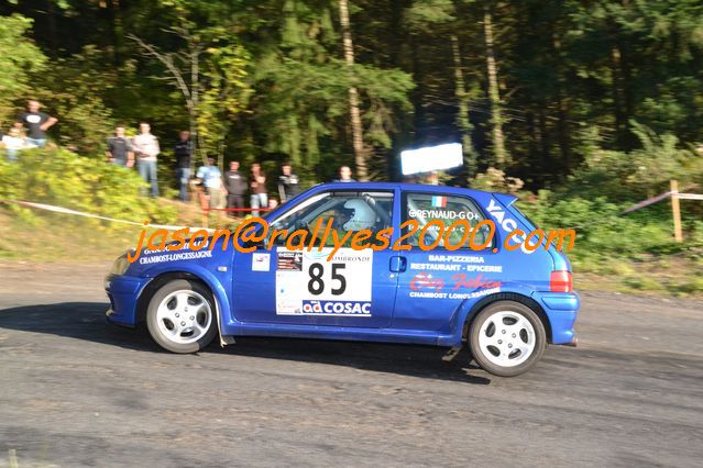 Rallye des Monts Dome 2011 (194)