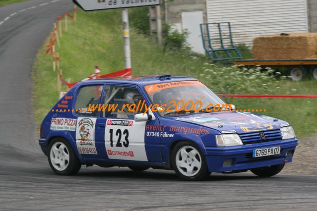 Rallye Haute Vallee de la Loire 2010 (174)