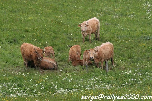 Rallye des Princesses 2010 (10)