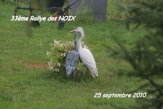 rallye des noix 2010 (1)