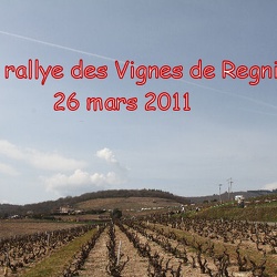 Vignes de Régnié