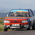 Rallye Velay Auvergne 2009 (119)