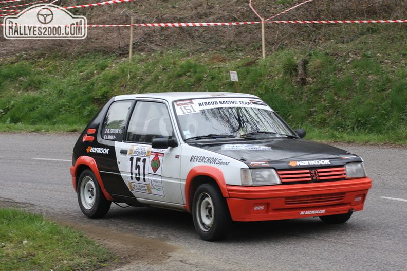 Rallye des Monts du Lyonnais 2013 (346)