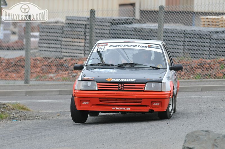 Rallye des Monts du Lyonnais 2013 (853)
