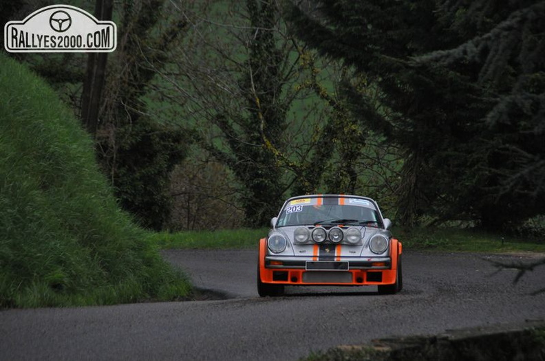 Rallye Lyon Charbonnières 2013  (7)