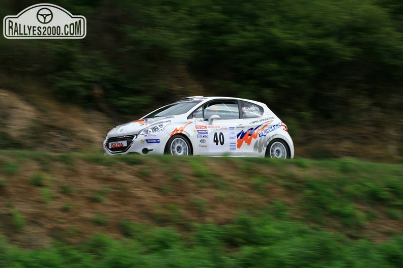 Rallye des NOIX 2013 (212).JPG