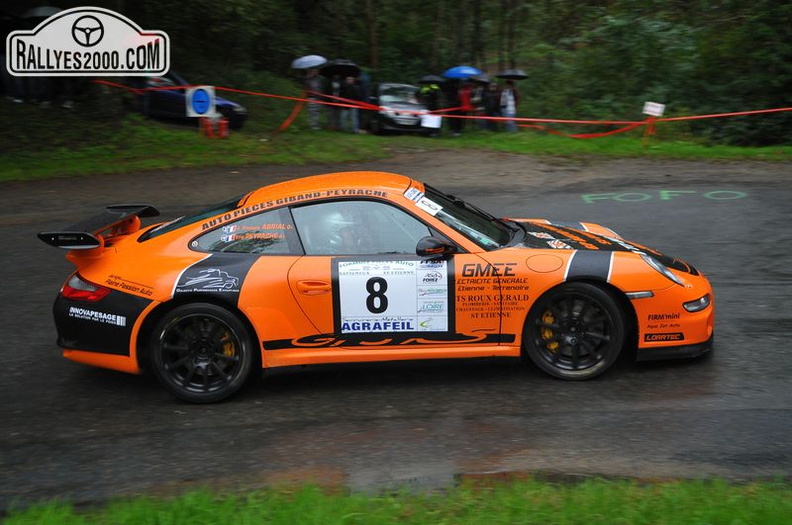 Rallye du Montbrisonnais 2013 (11)