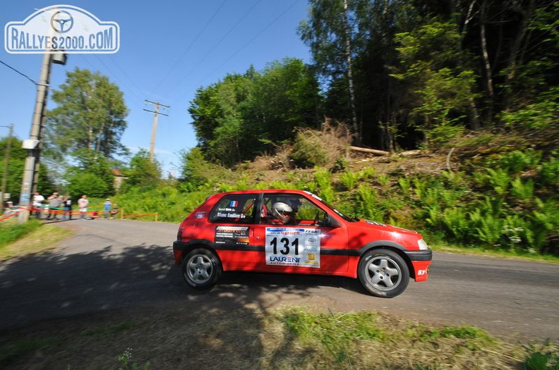 Rallye du Forez 2014 (238).JPG