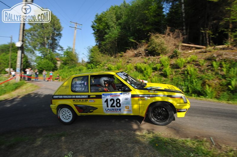 Rallye du Forez 2014 (246).JPG