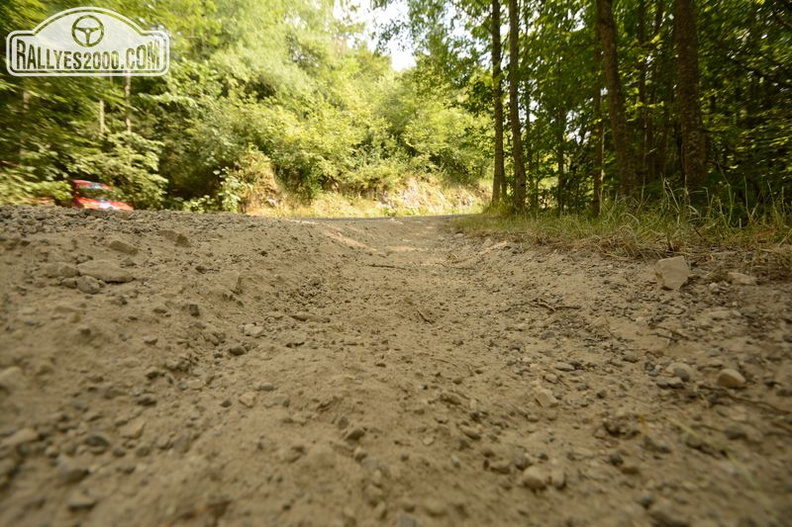 Drome Friedman 15  (366)