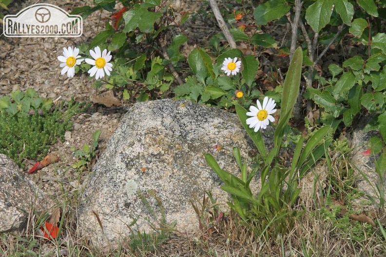 Noix de Firminy 2021 (0578)