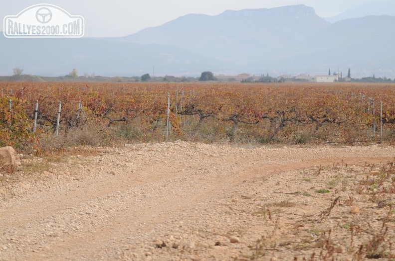 Terre de Vaucluse 2021  -  (0005).JPG