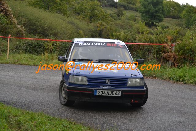 Rallye du Montbrisonnais 2011 (368)