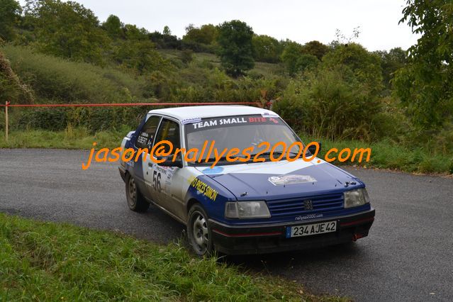 Rallye du Montbrisonnais 2011 (369)